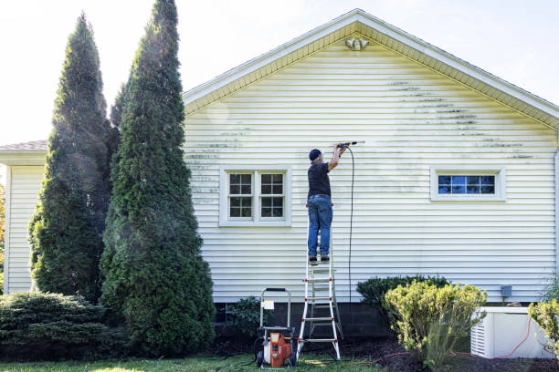Best Residential Pressure Washing in Forest Hills, TN